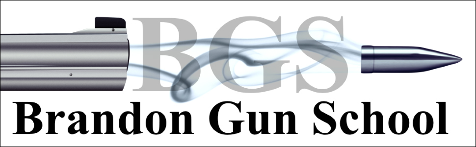 Tampa Florida Gun Glasses – Brandon Gun School